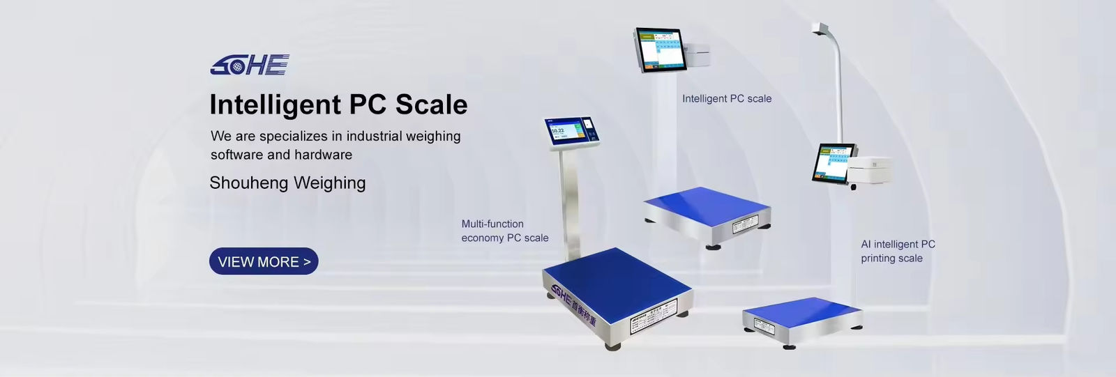 Échelle de plateforme