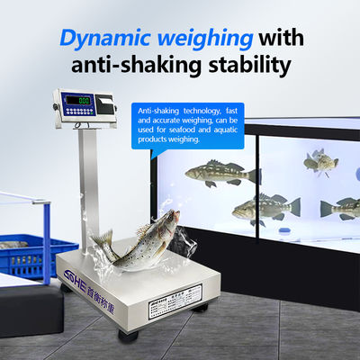 Balances personnalisables en acier inoxydable de 200 kg avec conception étanche et fonction d'impression