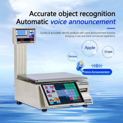 Étiquette à écran tactile de 15 kg Échelle de pesée avec écran LCD LED et type de port 1*RS232