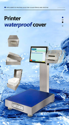 Balance intelligente entièrement imperméable à l'eau en acier inoxydable 304 avec écran LCD Modèle de batterie de 30 kg