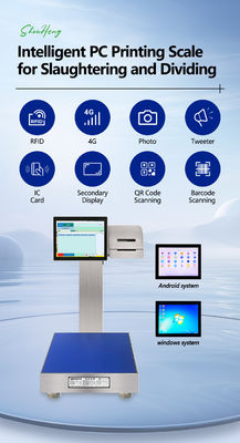 Échafaudage intelligent à l' épreuve de l' eau 60 kg avec 304 acier inoxydable et écran intelligent