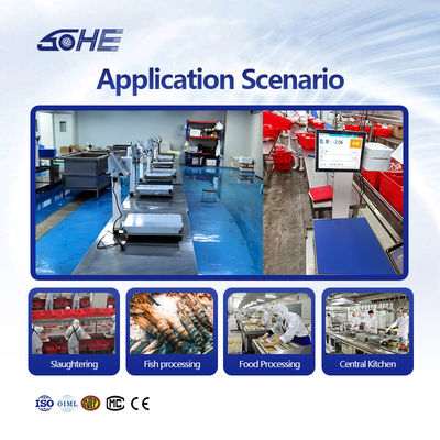 Échafaudage en acier inoxydable SOHE 60KG 400*500mm Échafaudage intelligent pour l'abattage et la découpe de viande