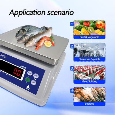8V/1A d'alimentation Scale imperméable à l'eau avec double écran d'affichage et capteur de précision