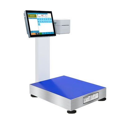 Système d'échelle PC à écran tactile de 12 pouces avec intelligence artificielle et port USB/serveur
