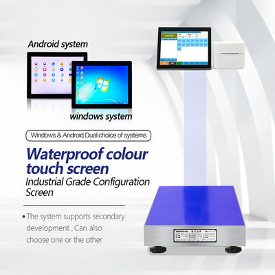 Système d'échelle PC à écran tactile de 12 pouces avec intelligence artificielle et port USB/serveur
