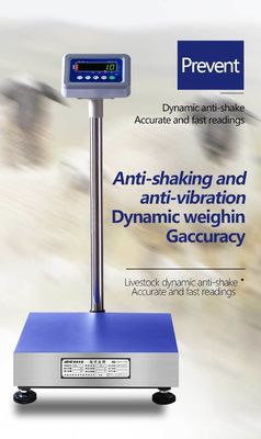 Balance électronique de plateforme en acier inoxydable ABS pour applications de pesage industriel