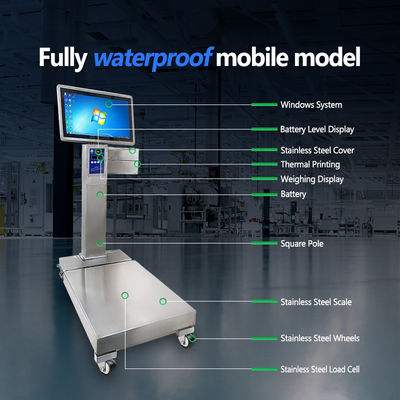 Support de personnalisation OBM Échelle industrielle en acier inoxydable mobile avec une capacité de 800 kg