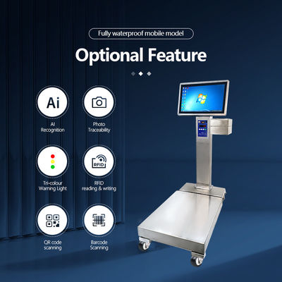 Support de personnalisation OBM Échelle industrielle en acier inoxydable mobile avec une capacité de 800 kg